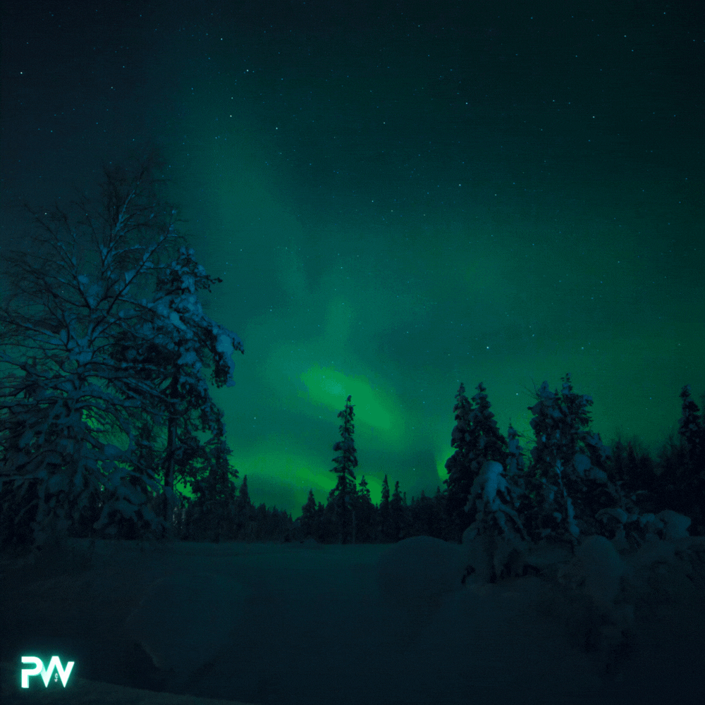 Animated northern lights over a snowy forest with the glowing PW logo — representing Pivotal Workout's Lifetime Badge for lifelong strength and transformation.