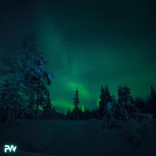 Animated northern lights over a snowy forest with the glowing PW logo — representing Pivotal Workout's Lifetime Badge for lifelong strength and transformation.